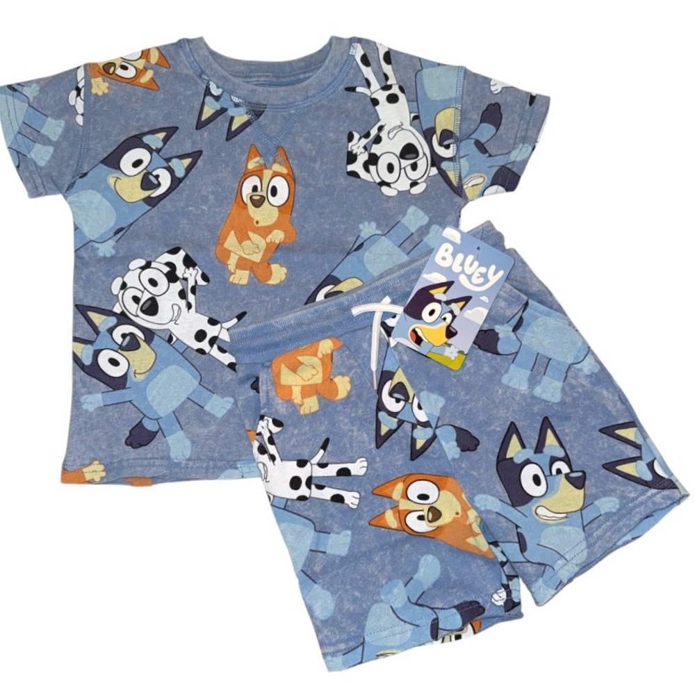 Bluey Shorts and T-shirt Set